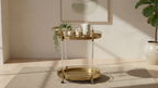 2-Tier Oval Gold Bar Trolley | Acrylic Columns & Swivel Casters | Luxury Bar Cart
