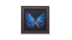 Blue Morpho Butterfly Framed Wall Art