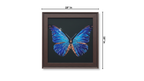 Blue Morpho Butterfly Framed Wall Art