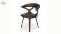 Mid-Century Bentwood Chair