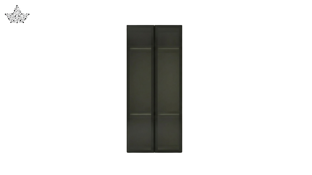 Black wardrobe with glass doors on a white background