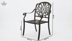 Rot Iron (Handle Chair)