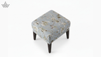 Artius Chair & Ottoman set