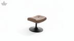 Disturling Chair