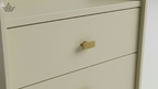 Close-up of a white cabinet with a gold handle on a plain background