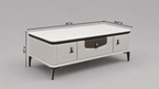Slab Large Center Table