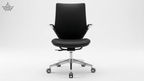 Fly Chair