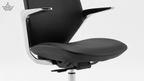 Fly Chair